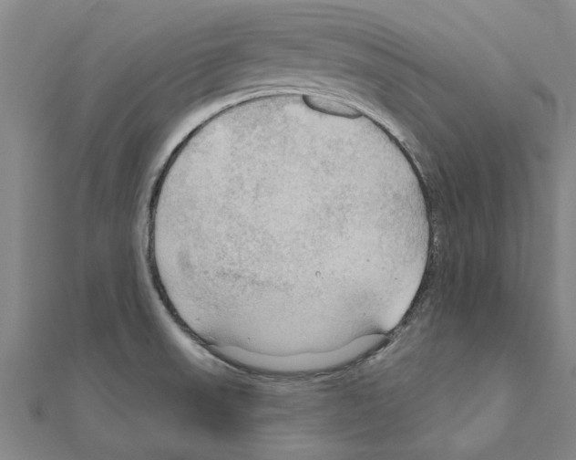 X0000111201523200908121058