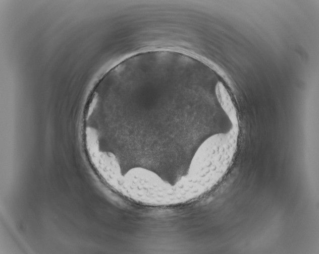 X0000111201525200908121058