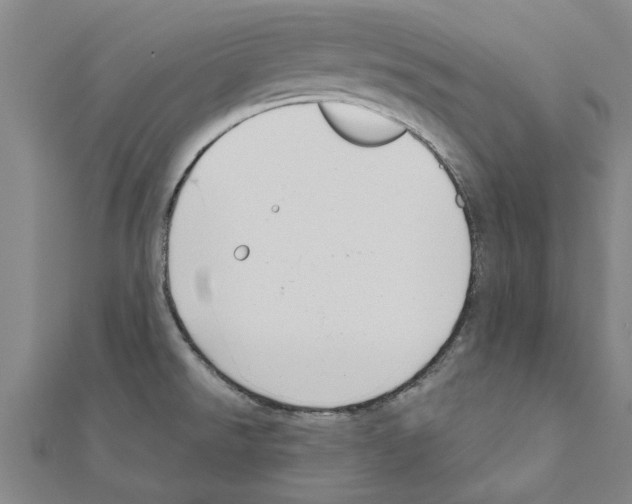 X0000111201526200908121058