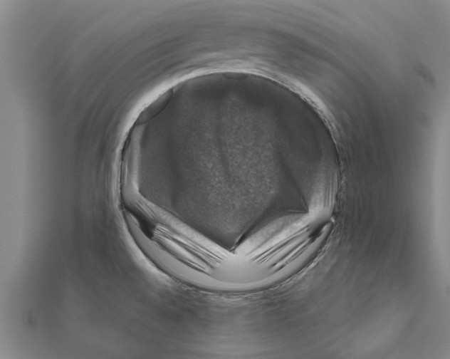 X0000111201528200908121058