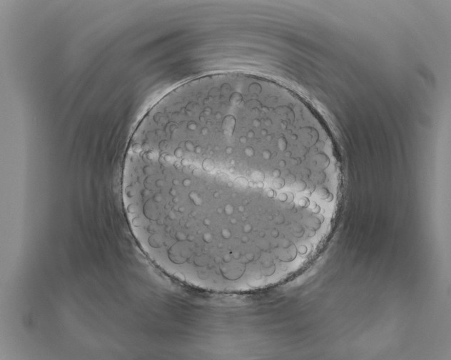 X0000111201529200908121058