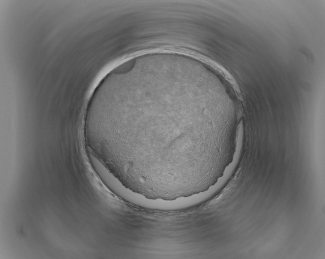 X0000111201530200908121058