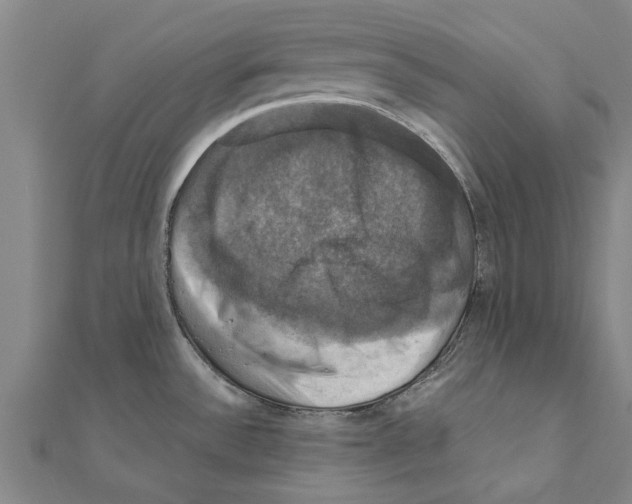 X0000111201532200908121058