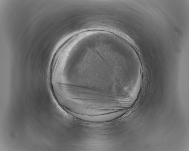 X0000111201536200908121059