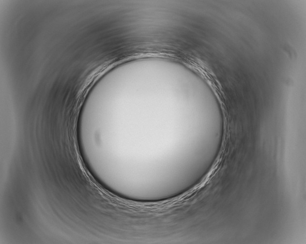 X0000111210001200907011101