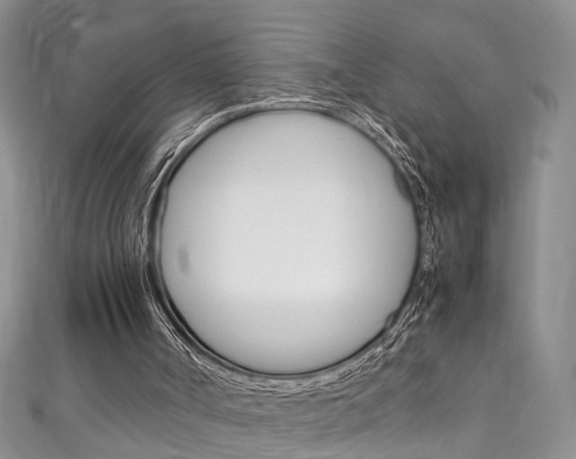 X0000111210002200907011101