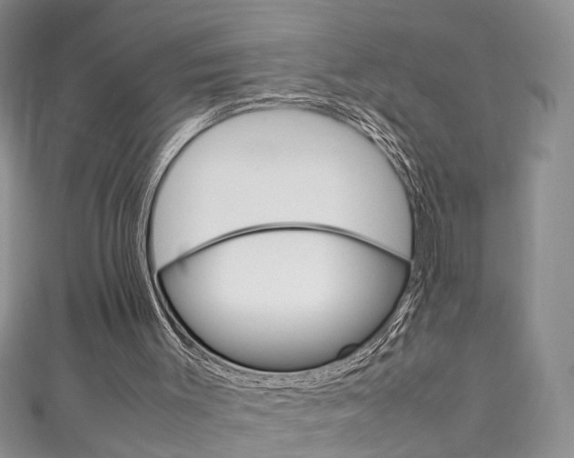 X0000111210003200907011101