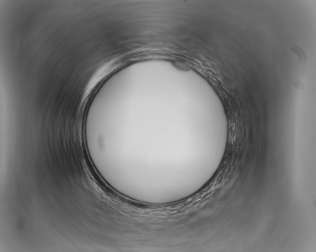 X0000111210004200907011101