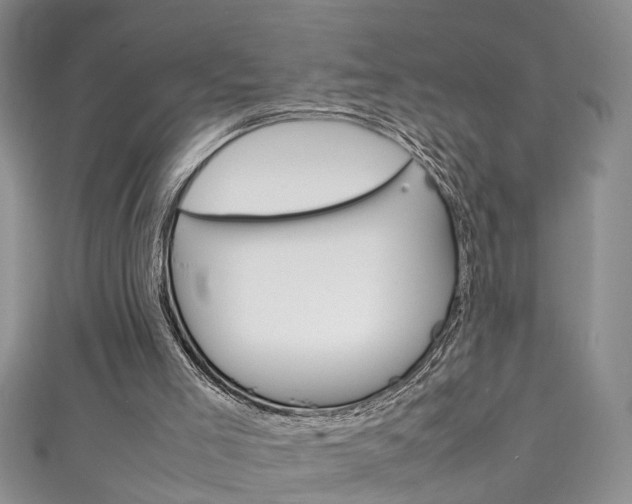 X0000111210005200907011101