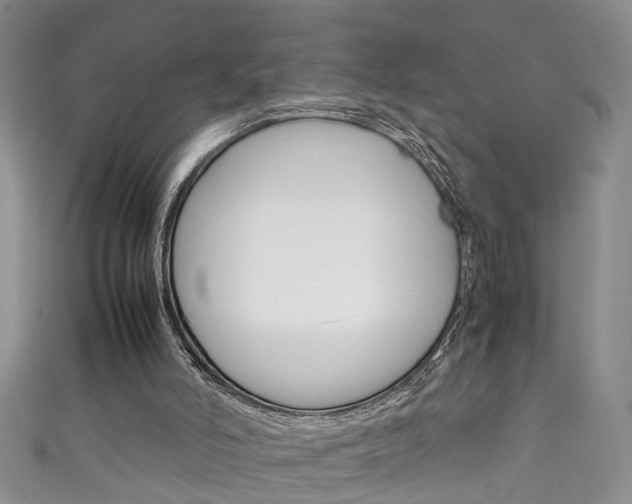 X0000111210006200907011101