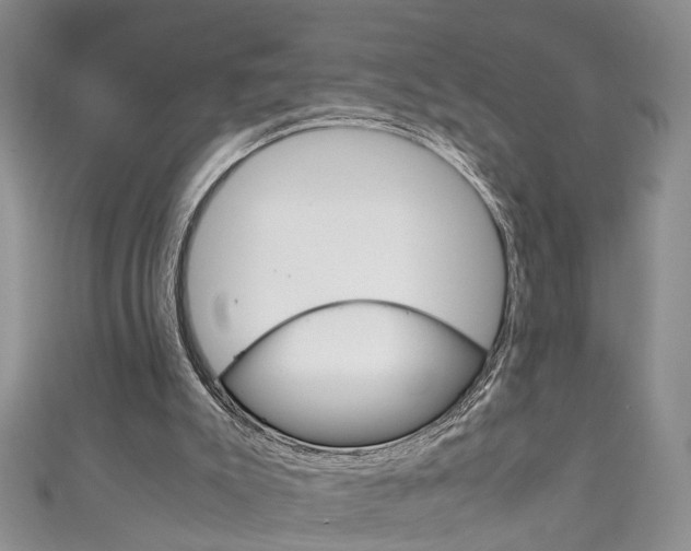 X0000111210007200907011101