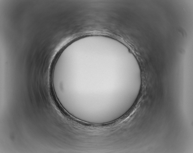 X0000111210008200907011101