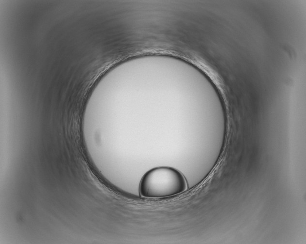 X0000111210009200907011101