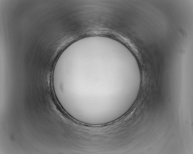 X0000111210010200907011101