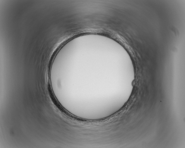 X0000111210011200907011101