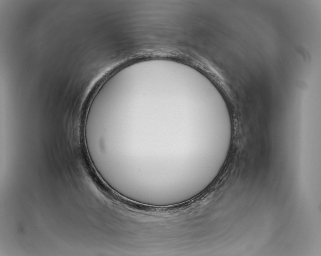 X0000111210012200907011101