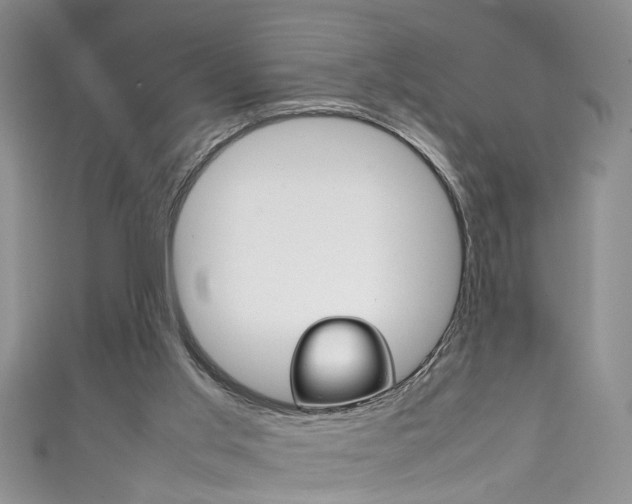 X0000111210013200907011101