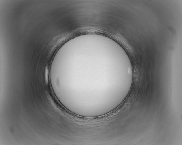 X0000111210014200907011101