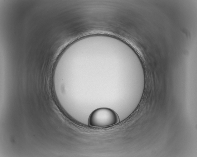 X0000111210015200907011101