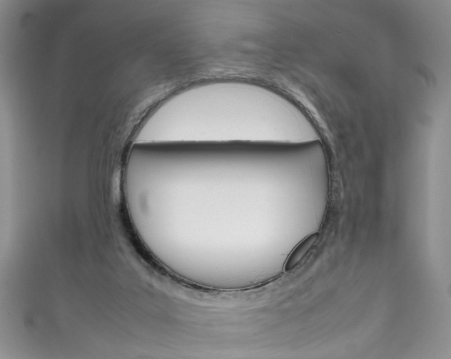 X0000111210019200907011100