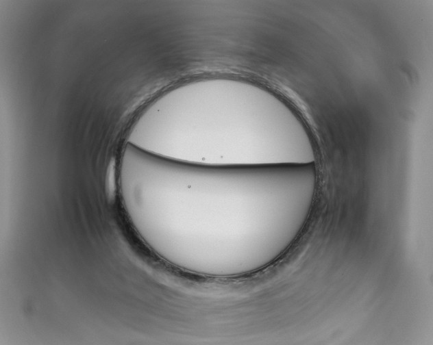 X0000111210020200907011100