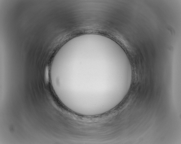 X0000111210022200907011100