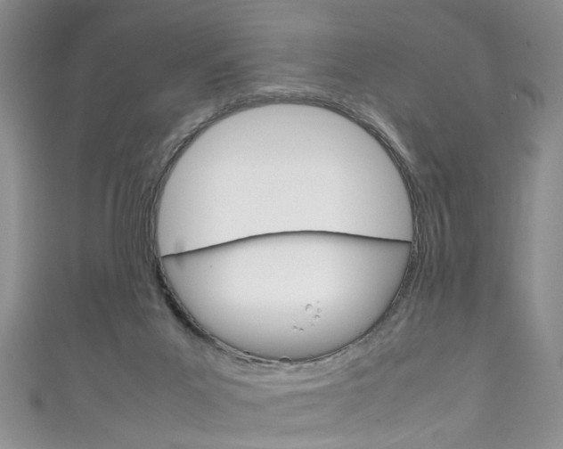 X0000111210023200907011100