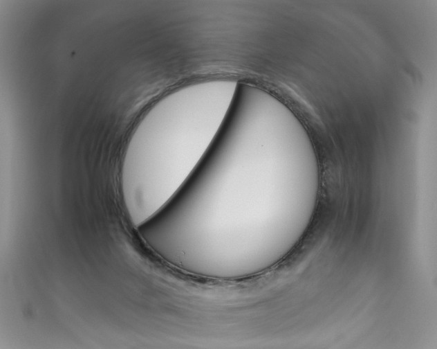 X0000111210024200907011100