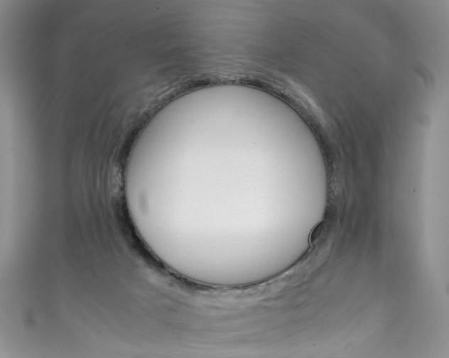 X0000111210025200907011100