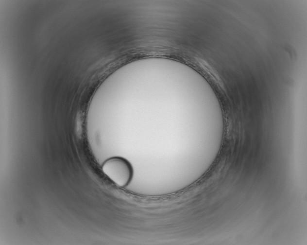 X0000111210026200907011100