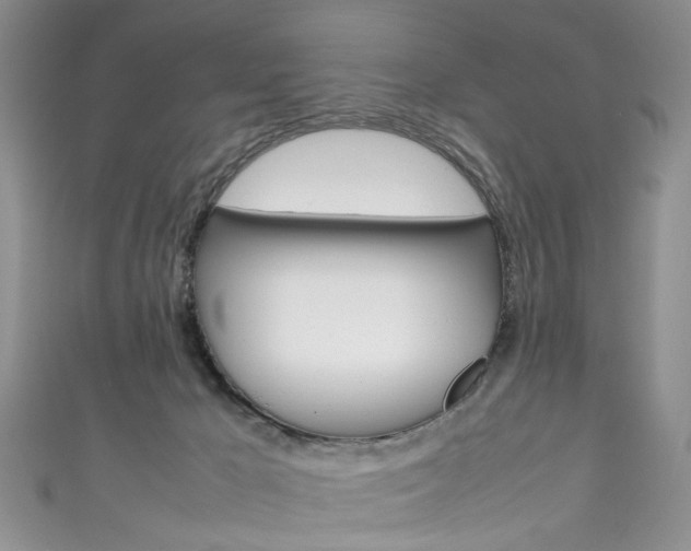 X0000111210029200907011100