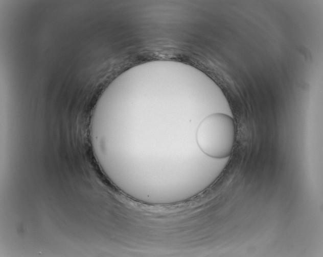 X0000111210030200907011100