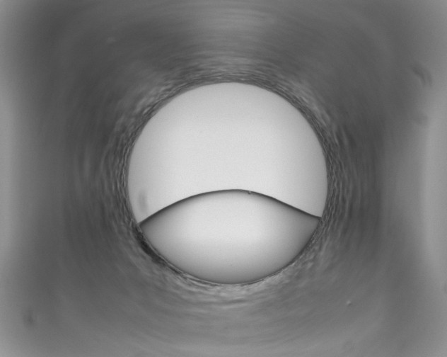 X0000111210031200907011100