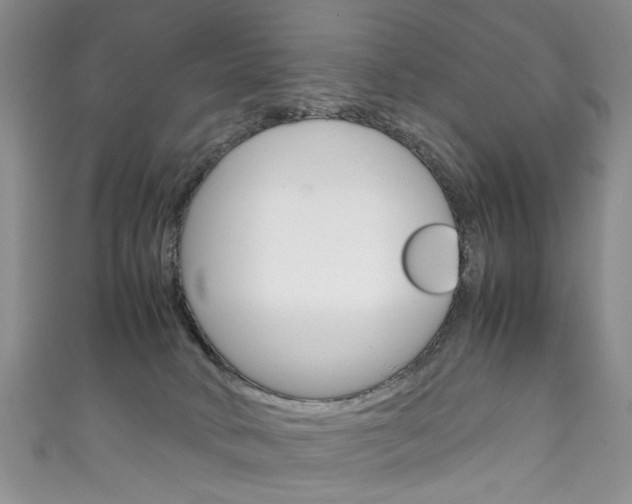 X0000111210034200907011100