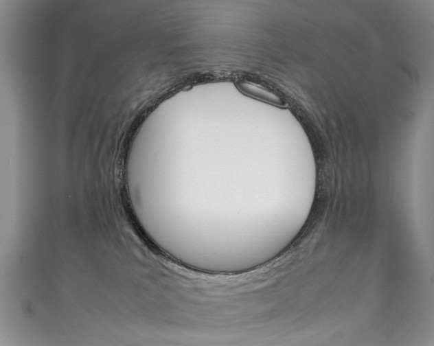 X0000111210039200907011100