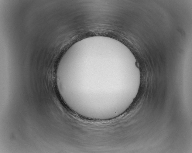 X0000111210040200907011100