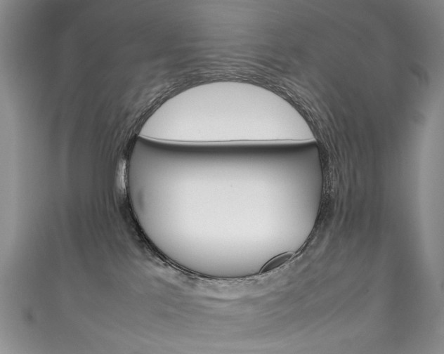 X0000111210041200907011100