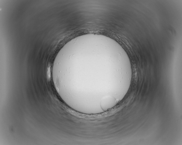 X0000111210042200907011100