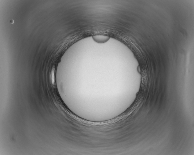 X0000111210046200907011100