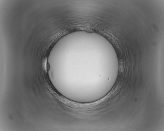 X0000111210047200907011100