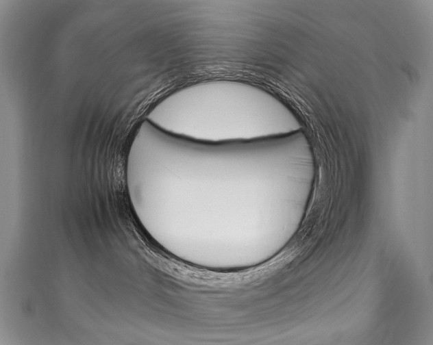 X0000111210048200907011100