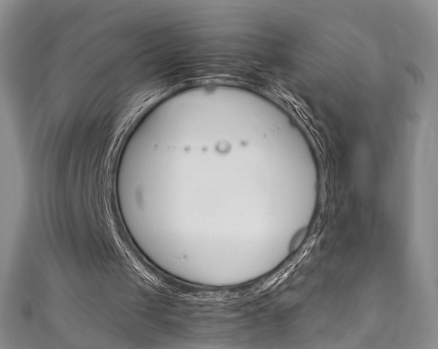 X0000111210049200907011059