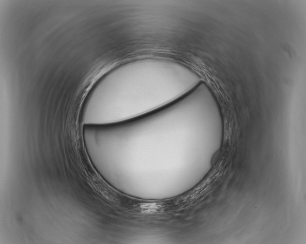 X0000111210050200907011059