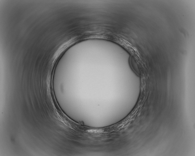 X0000111210051200907011059