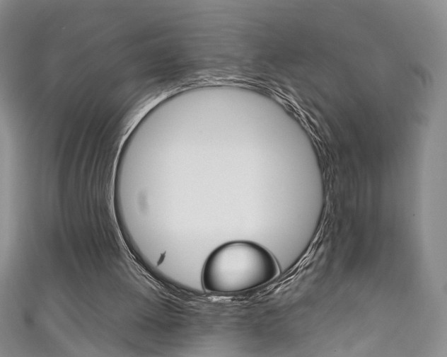 X0000111210052200907011059