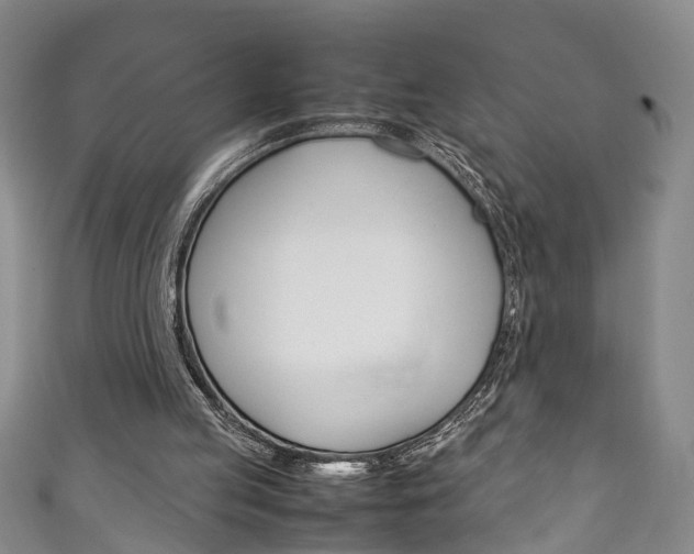 X0000111210053200907011059