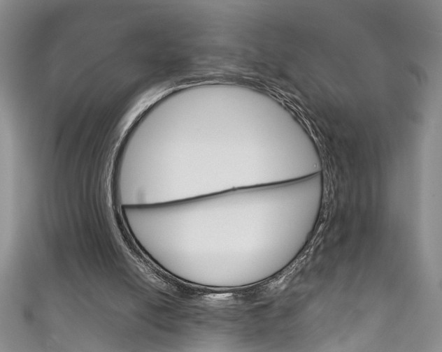 X0000111210054200907011059