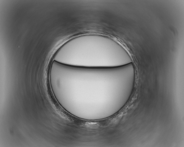 X0000111210055200907011059