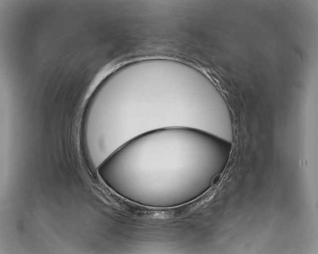 X0000111210056200907011059