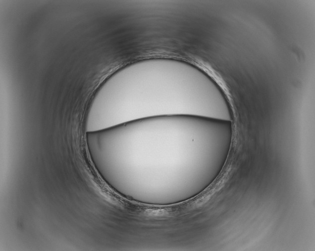 X0000111210057200907011059